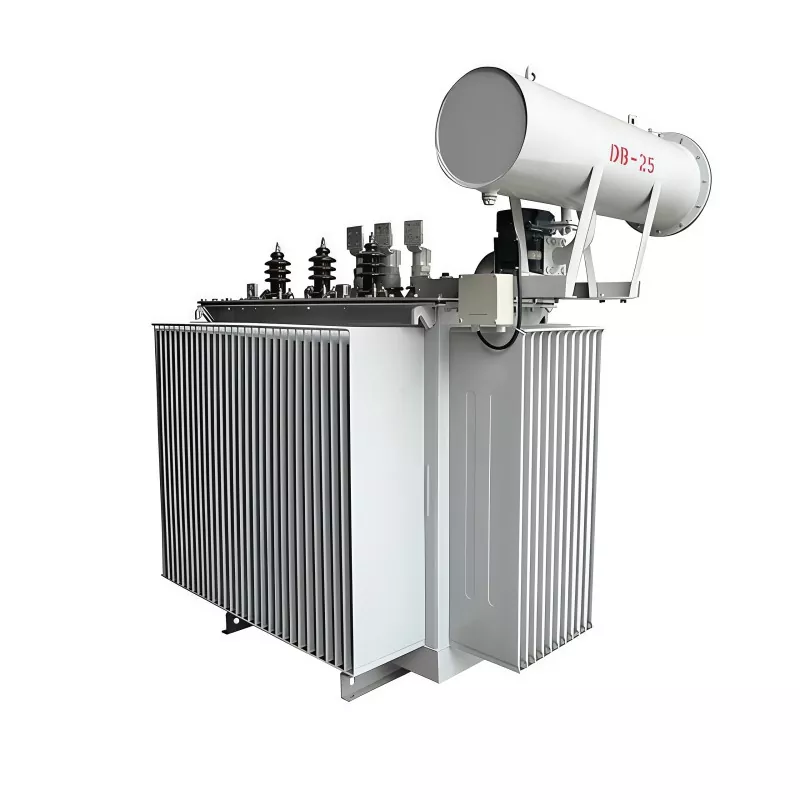 800KVA 35KV மூன்று கட்ட எண்ணெய் மூழ்கிய விநியோக மின்மாற்றி